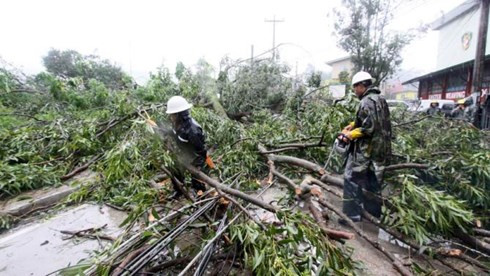 hình ảnh bão goni tấn công philippines hình 3 hinh anh bao goni tan cong philippines hinh 3