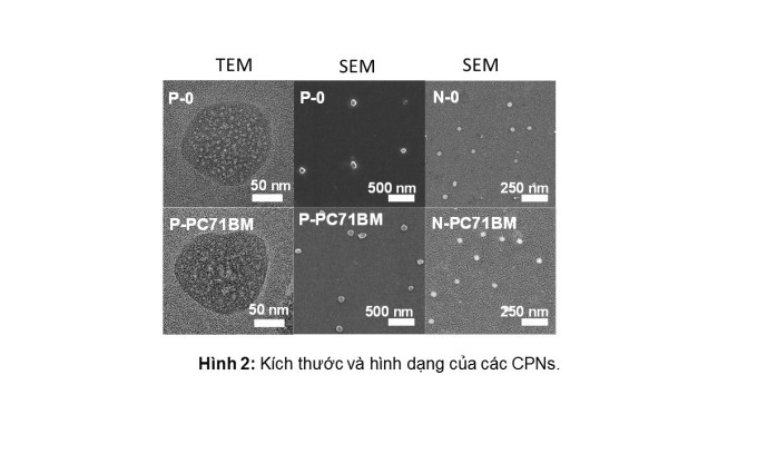 Hạt nano polymer liên hợp điều trị ung thư vú giúp giảm thời gian điều trị và tạo hiệu quả cao. Hạt nano polymer liên hợp điều trị ung thư vú giúp giảm thời gian điều trị và tạo hiệu quả cao.
