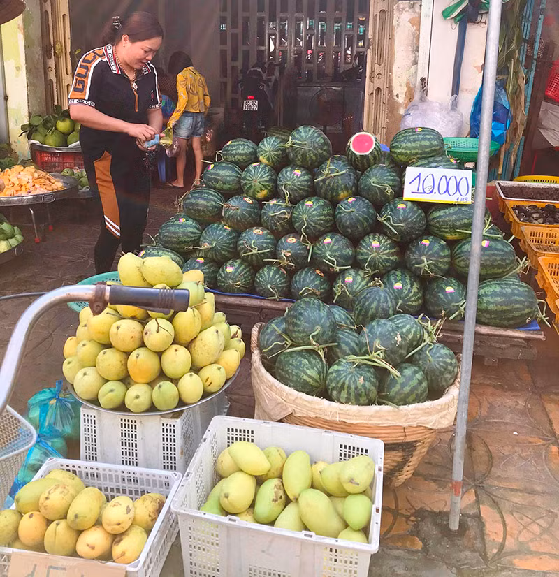 Do ảnh hưởng của dịch Corona nên giá nông sản ở ĐBSCL xuống thấp