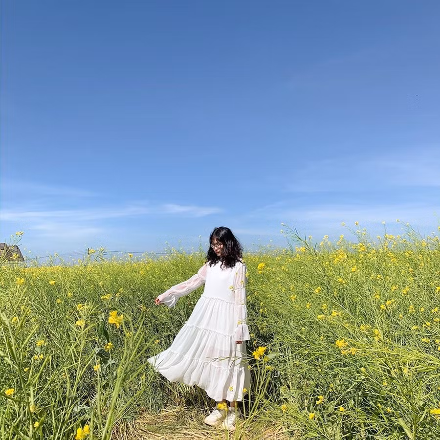 Canh dong hoa cai thu hut gioi tre check-in o Da Lat hinh anh 3 IMG_3222.JPG