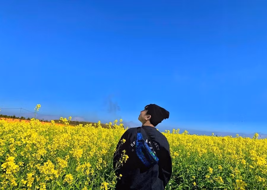 Canh dong hoa cai thu hut gioi tre check-in o Da Lat hinh anh 6 IMG_3190.JPG