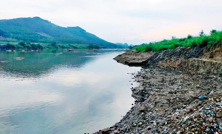 Tình trạng sạt lở bờ sông Mã ở xã Cẩm Ngọc đang lấn dần vào đất đai, hoa màu và nhà dân.