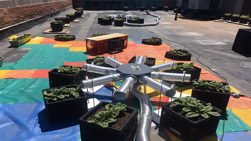 CO2 thu được trên sân thượng có thể tốt cho cây trồng.