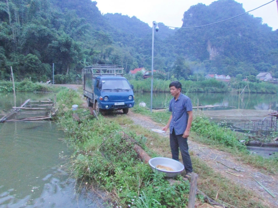 Nhờ chịu khó, ham học hỏi, ông Hữu đã thoát nghèo và có "của ăn, của để".