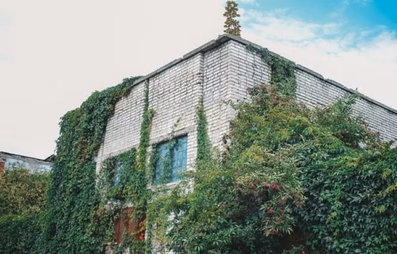 Từ thiên tài đến kẻ đánh bom tàn độc ảnh 2