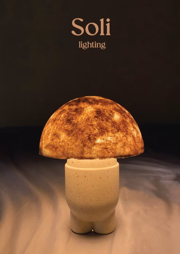 Tác phẩm 'Đèn trang trí Soli' của 2 tác giả Nguyễn Hùng Cường và Nguyễn Hồng Phúc. Ảnh: NVCC.