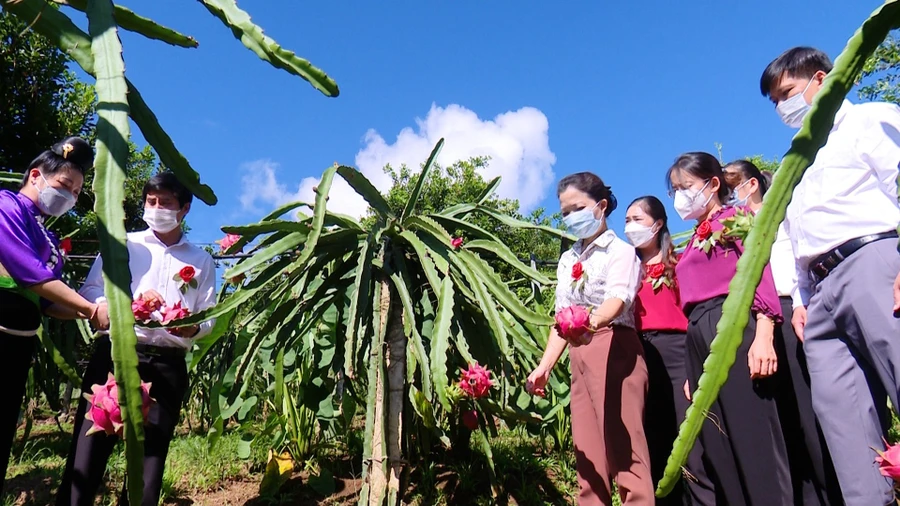 Huyện Thuận Châu luôn tập trung nguồn lực, hỗ trợ người dân phát triển kinh tế để thoát nghèo.