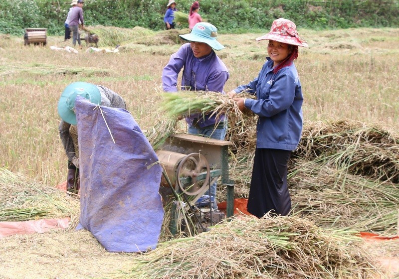 Đời sống kinh tế của người dân ở Thuận Châu ngày càng được nâng cao.