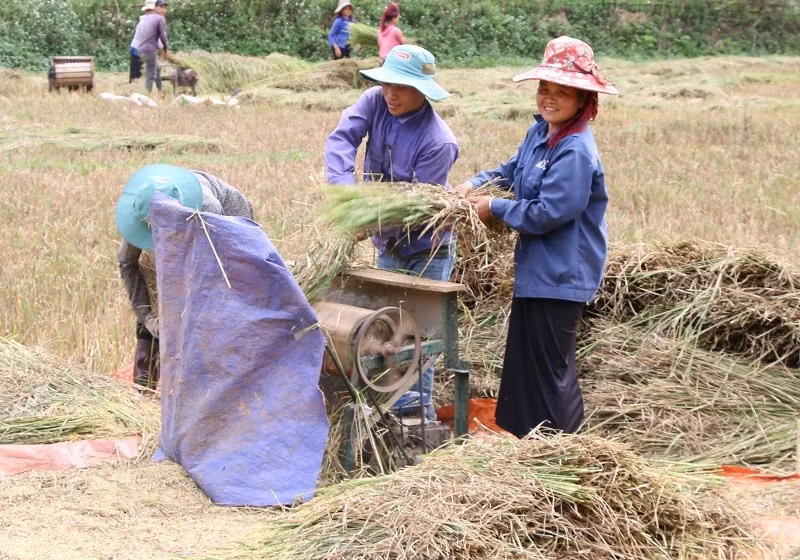 Đời sống kinh tế của người dân ở Thuận Châu ngày càng được nâng cao.