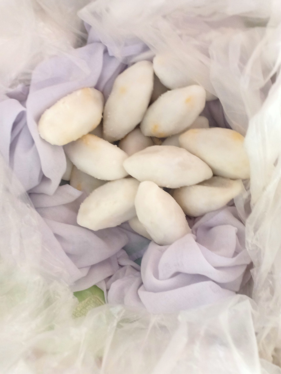 Bánh nắm được ủ nóng trong thúng xốp. Ảnh: Quốc Bình. Bánh nắm được ủ nóng trong thúng xốp. Ảnh: Quốc Bình.