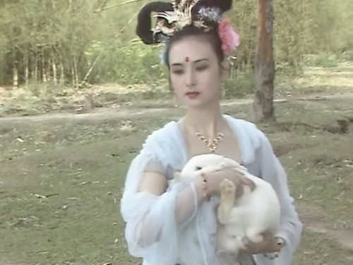 Những mỹ nhân khiến Trư Bát Giới mê mẩn - 3