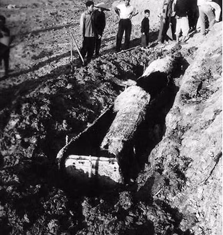 Cuộc khai quật khảo cổ năm 1961.