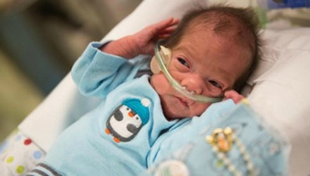 Lạ lùng những em bé được sinh ra từ người mẹ đã chết