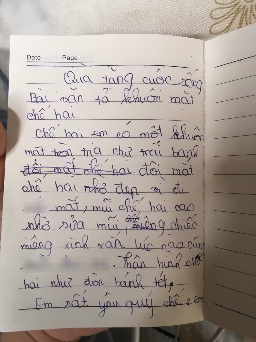 Chị gái phiên bản tả thực trong bài văn của em gái khiến khổ chủ dở khóc dở cười: Thân hình như đòn bánh tét, mặt như trái banh - Ảnh 1.