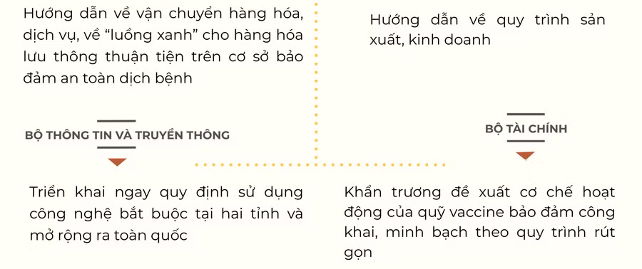 [Infographic] Thủ tướng chỉ đạo huy động tổng lực hỗ trợ Bắc Giang, Bắc Ninh đẩy lùi Covid-19 ảnh 4