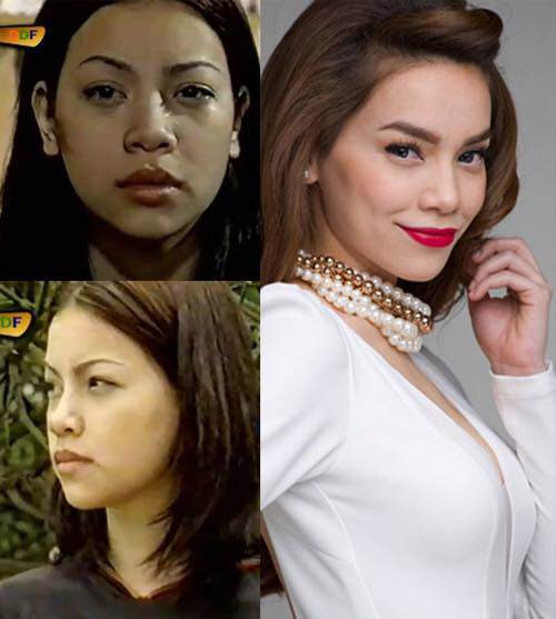 my nhan bi don tham my nhieu nhat vbiz khong ai khac chinh la ho ngoc ha - 1