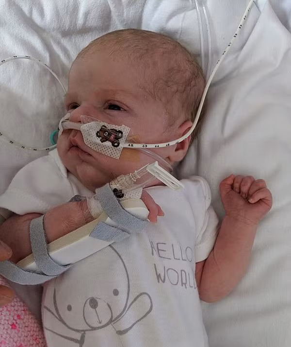 hao huc dua vo di de, chong sung so khi chua den vien thi vo nga guc roi qua doi - 3