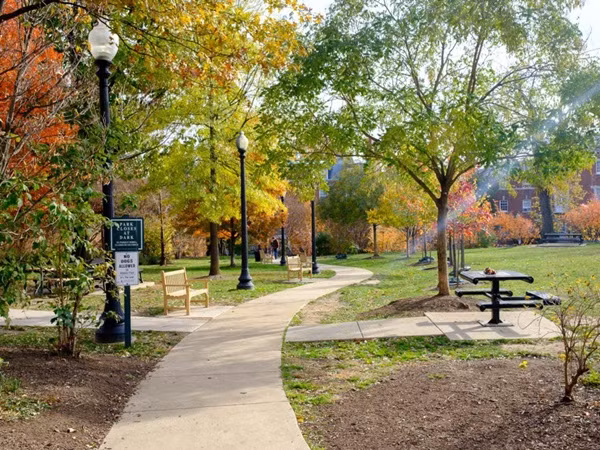 Hé lộ thu nhập khủng từ công việc ít ai biết tới của gia đình cựu Tổng thống Obama sau khi nghỉ hưu và cách tiêu tiền gây bất ngờ của họ-9