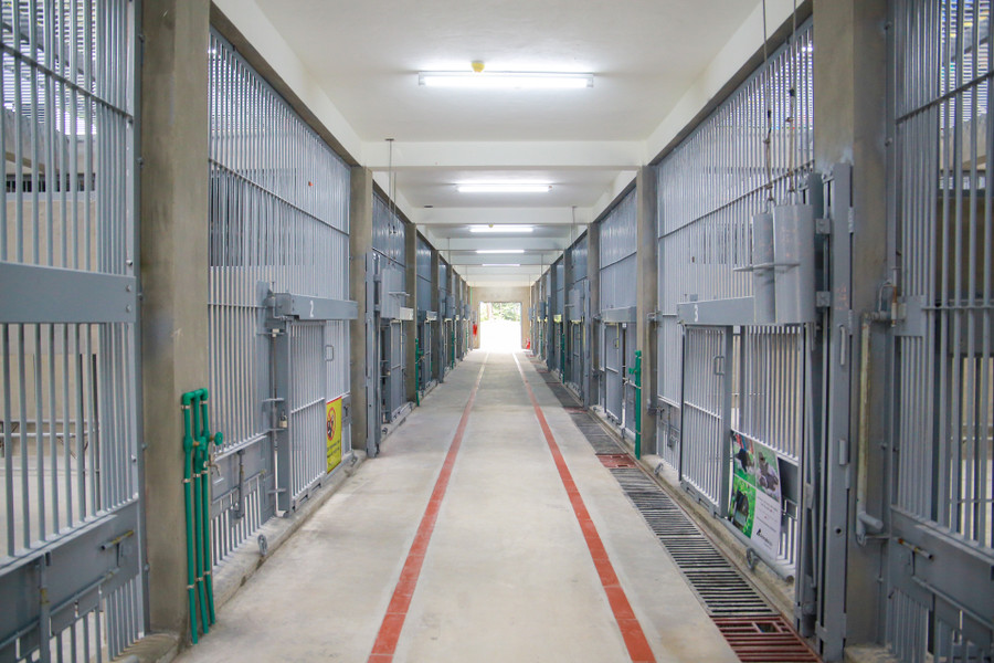 Một nhà ở cho gấu vừa được hoàn thành xây dựng, khu nhà sẽ thông với khu bán tự nhiên nơi gấu được chăm sóc.