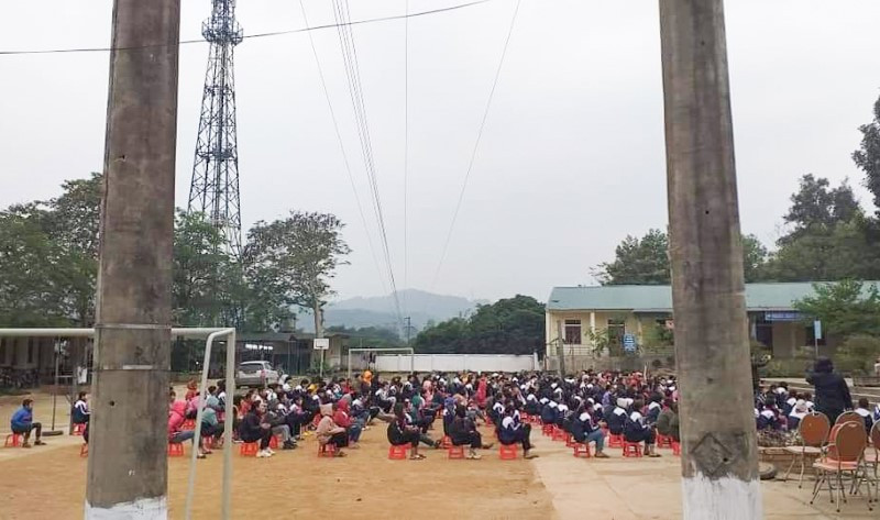 Trước đây có hàng cây ngô đồng trong khuôn viên, nhưng lo sợ mất an toàn lưới điện, nhà trường
đã phải đốn hạ.