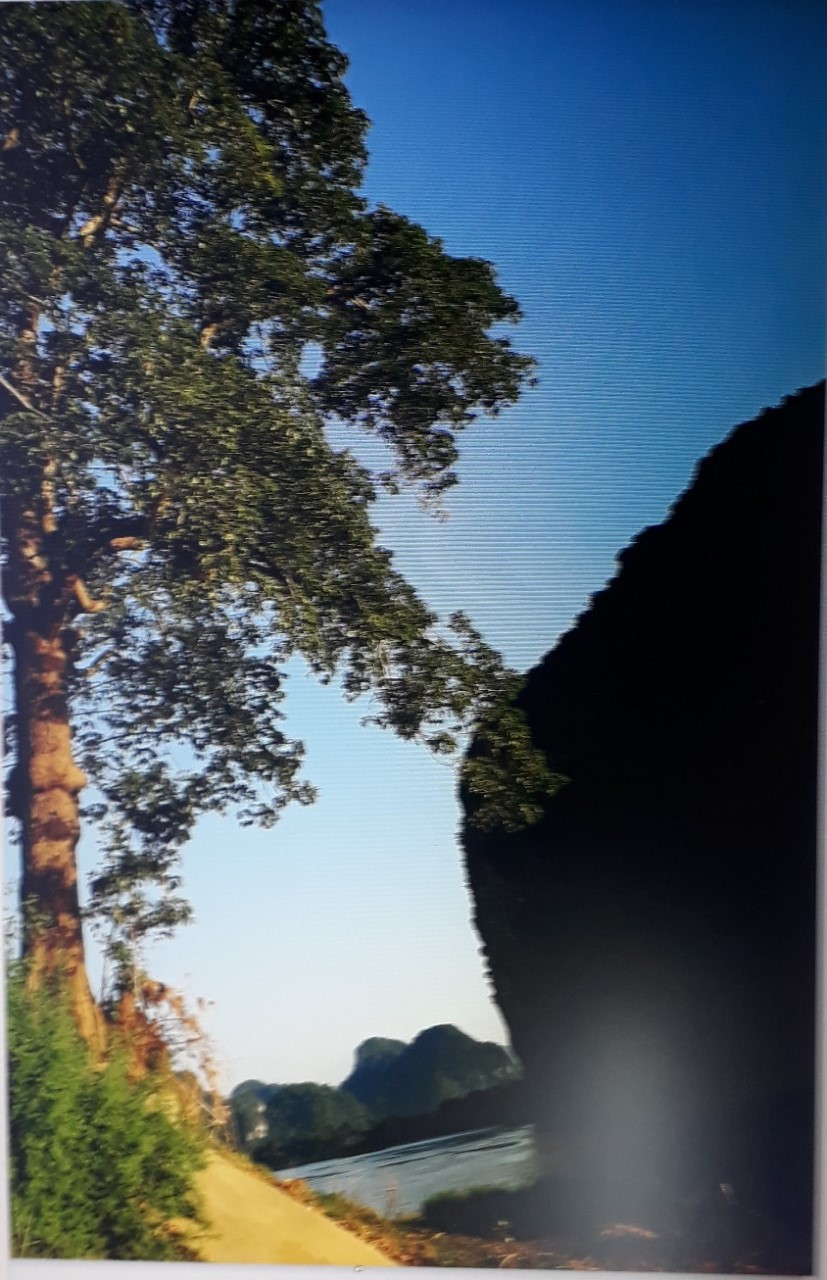 Sông Mã chảy qua Cửa Hà, Cẩm Thủy, Thanh Hóa. Ảnh: Nguyễn Minh Khiêm