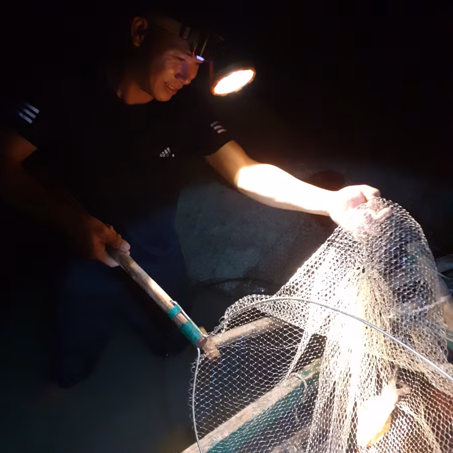 Ngư dân Nguyễn Văn Hùng dùng vợt để vợt mực. (Ảnh: Huyền Trang) Ngư dân Nguyễn Văn Hùng dùng vợt để vợt mực. (Ảnh: Huyền Trang)