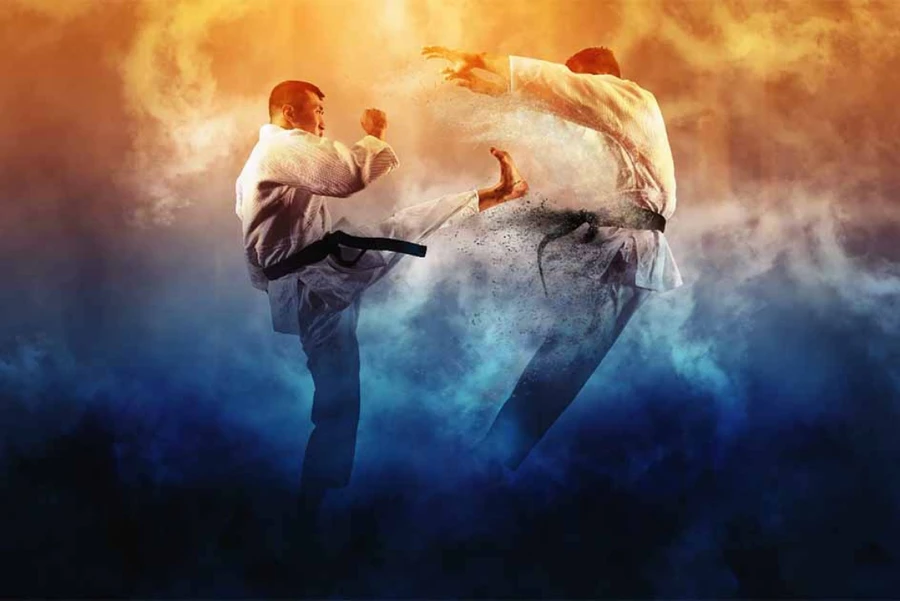 Karate, môn võ phổ biến ở Nhật.