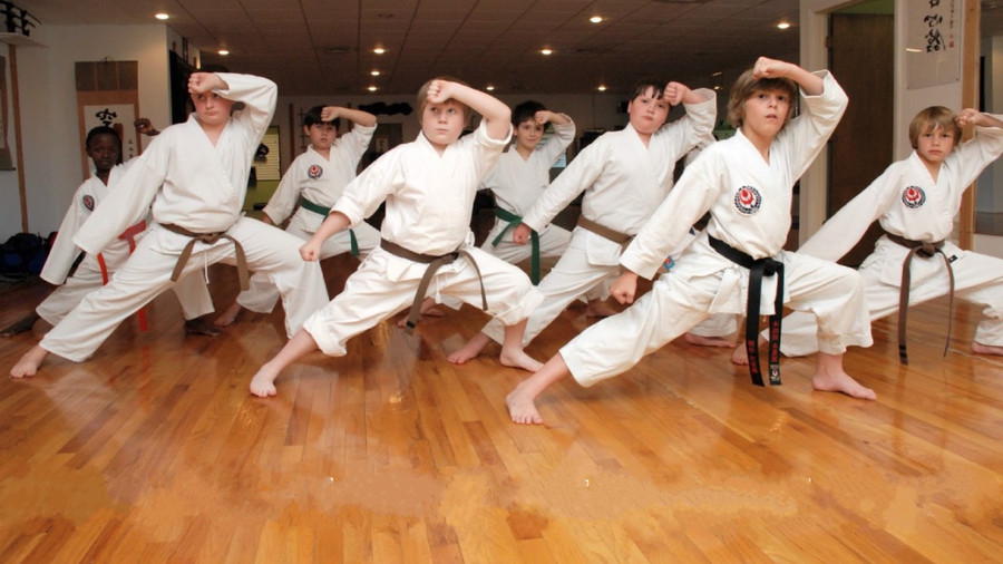 Trẻ em trên thế giới cũng ưa thích Karate. Trẻ em trên thế giới cũng ưa thích Karate.