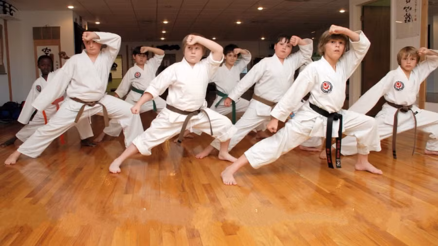 Trẻ em trên thế giới cũng ưa thích Karate.