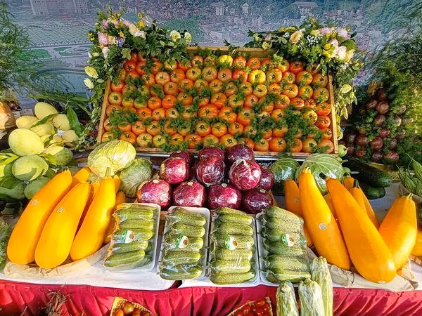 Các sản phẩm nông nghiệp được trưng bày tại hội chợ.