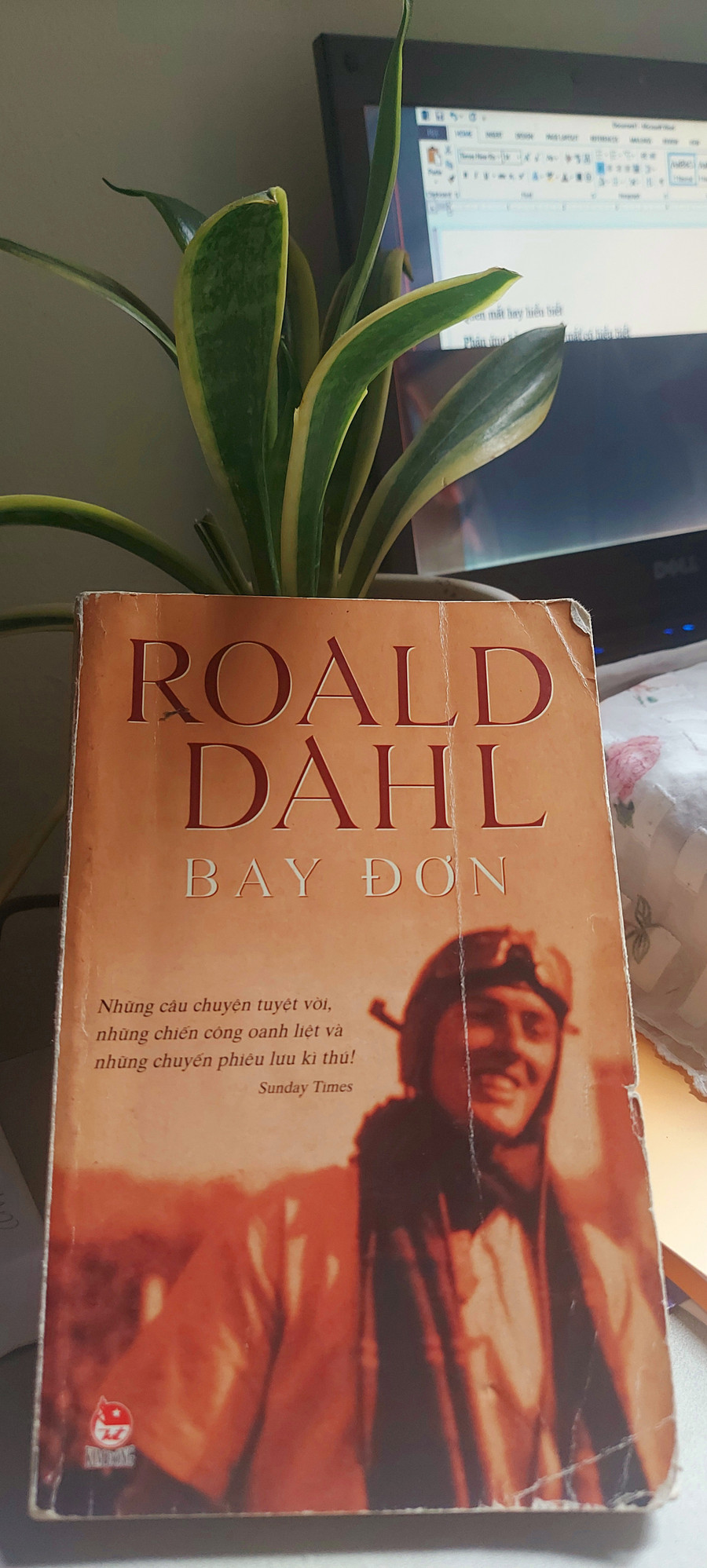Cuốn sách &apos;Bay đơn&apos; ẩn chứa nhiều thông điệp ý nghĩa. Ảnh: Tấn Quyết.