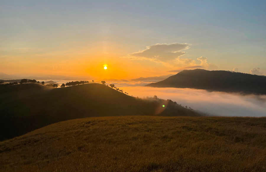 Cảnh mây vờn núi, luồn qua những tán cây phía chân đồi trước bình minh, như lạc vào chốn bồng lai tiên cảnh.