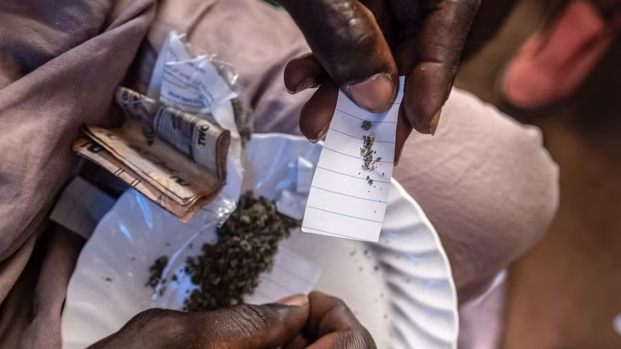 Thành phần của kush được cho là có xương người.