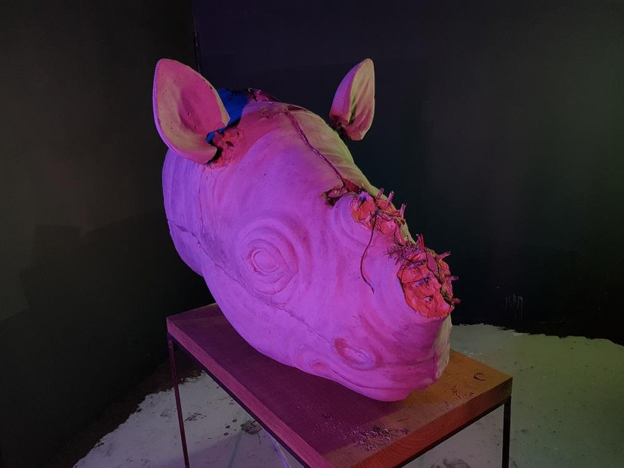 Tác phẩm sừng tê giác trong triển lãm &apos;Rừng hoang&apos;.