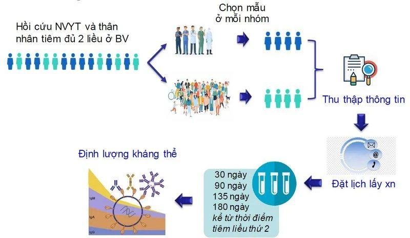 Quy trình thực hiện nghiên cứu.