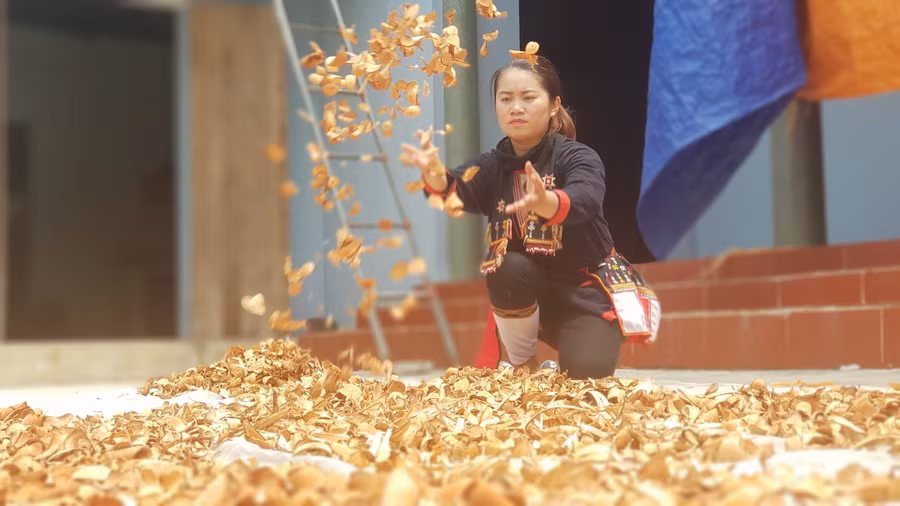 Lý Thuý Vân gắn bó với cây thuốc từ nhỏ.