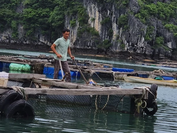 Người dân tại các cơ sở NTTS mong muốn sớm bán được thủy sản, ổn định cuộc sống.