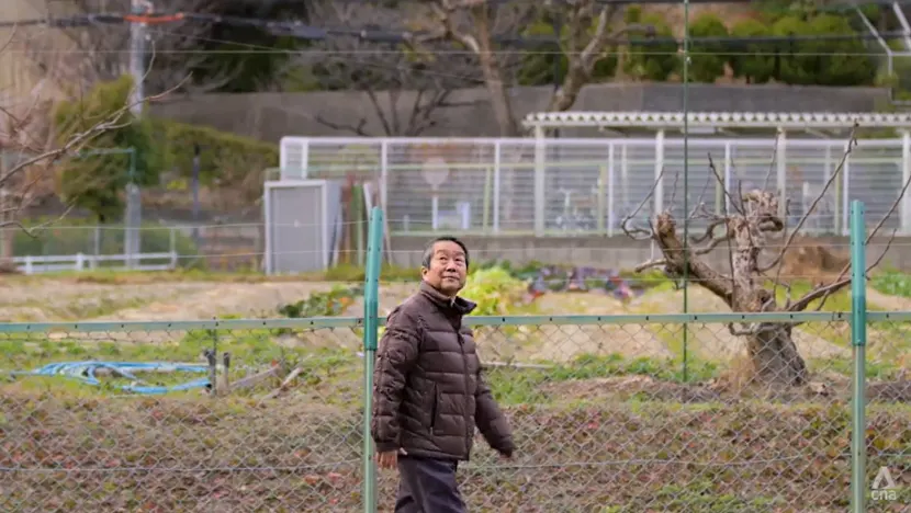 Giám sát viên Jun Hase tại Hiệp hội Khoa học Bướm Nhật Bản. Ảnh: CNA