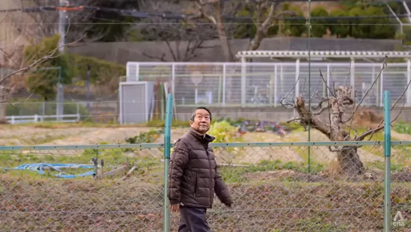 Giám sát viên Jun Hase tại Hiệp hội Khoa học Bướm Nhật Bản. Ảnh: CNA