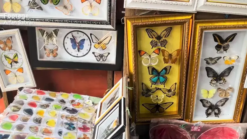 Những món quà lưu niệm xung quanh Công viên Quốc gia Bantimurung Bulusaraung. (Ảnh: CNA).