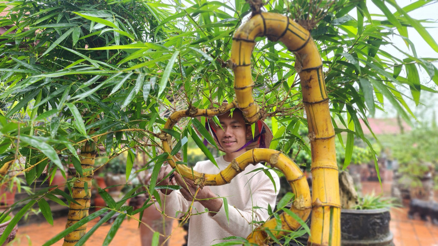 Thông qua các tác phẩm tre bonsai, anh Luân muốn truyền cảm hứng văn hóa đến mọi người.