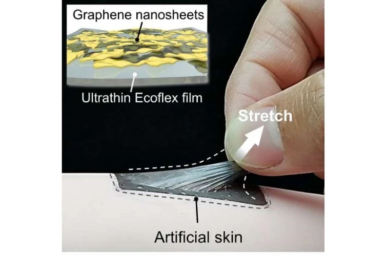 Loại da sinh học bao gồm màng mỏng đàn hồi và các tấm nano graphene.