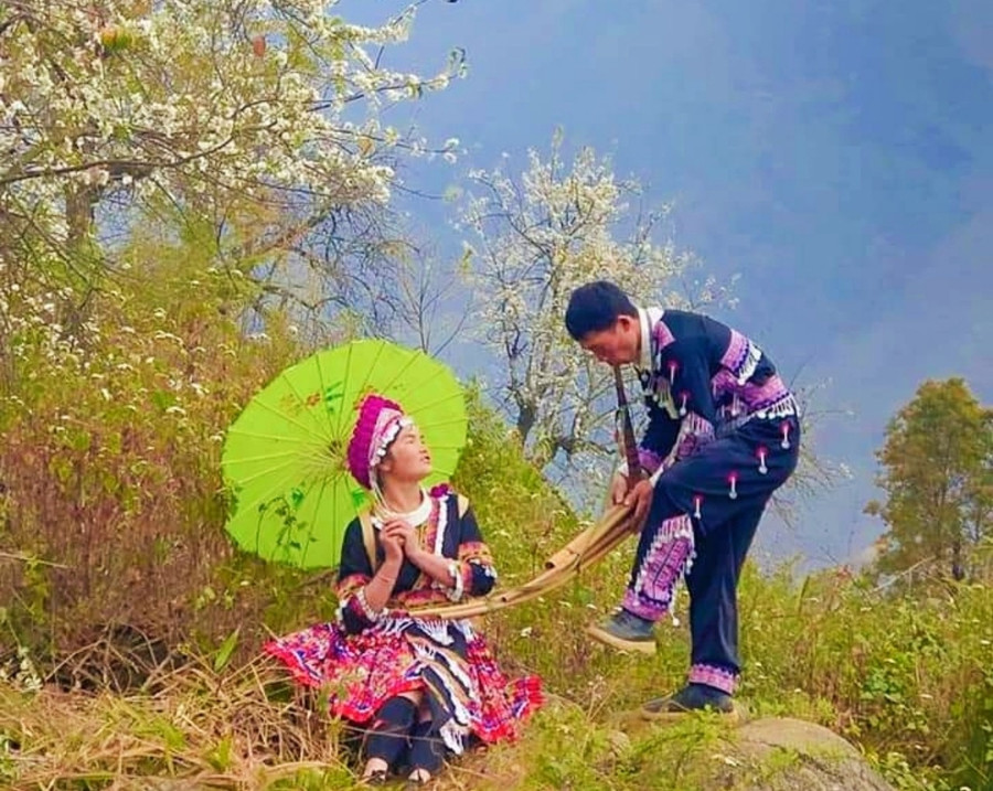 Đôi nam nữ người Mông múa khèn dưới tán hoa sơn tra. Đôi nam nữ người Mông múa khèn dưới tán hoa sơn tra.