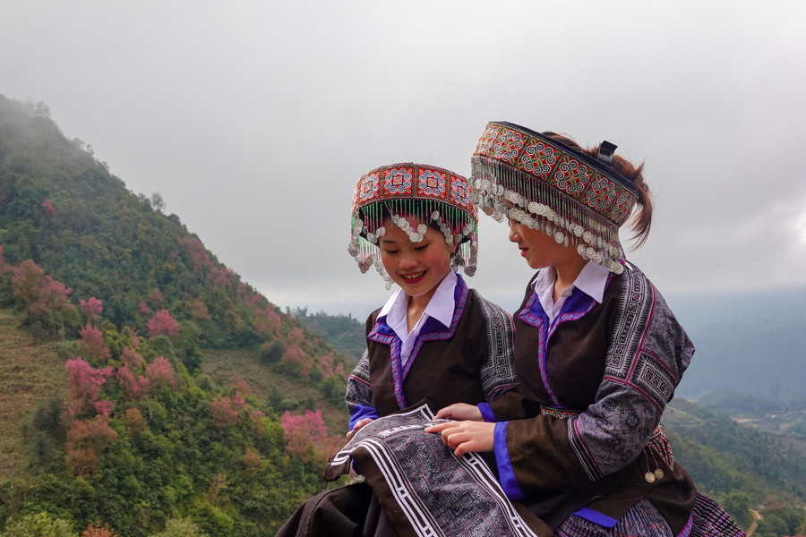 Nét đẹp riêng có của những cánh hoa Tớ dày đang độ khoe sắc. Nét đẹp riêng có của những cánh hoa Tớ dày đang độ khoe sắc.