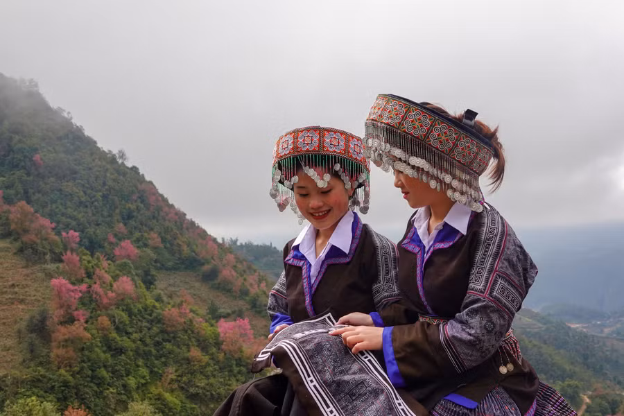 Nét đẹp riêng có của những cánh hoa Tớ dày đang độ khoe sắc.