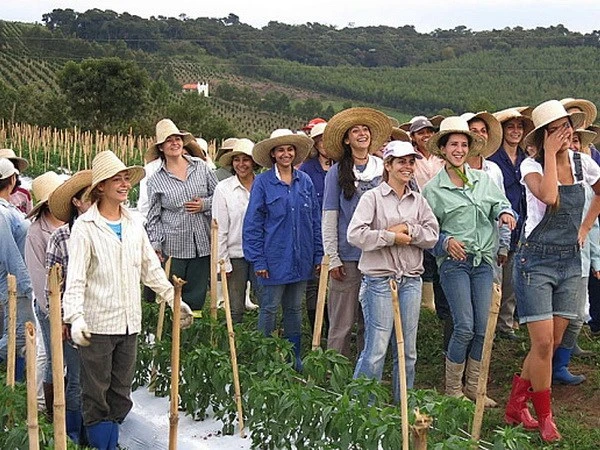 “Thung lũng người đẹp” ở Brazil mời gọi đàn ông đến sống