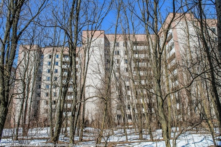Hoang lạnh thành phố “ma” sau thảm họa Chernobyl ảnh 7 Hoang lạnh thành phố “ma” sau thảm họa Chernobyl ảnh 7