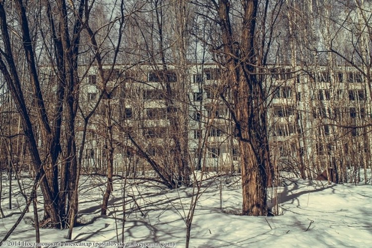 Hoang lạnh thành phố “ma” sau thảm họa Chernobyl ảnh 8 Hoang lạnh thành phố “ma” sau thảm họa Chernobyl ảnh 8