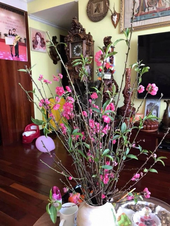 cơ ngơi của nghệ sĩ đóng Táo Quân 6 Táo Quân, Quang Thắng, Xuân Bắc, Công Lý, Quốc Khánh, Minh Quân, Vân Dung, Chí Trung, Tự Long