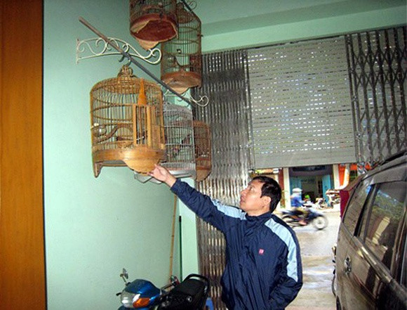 cơ ngơi của nghệ sĩ đóng Táo Quân 1 Táo Quân, Quang Thắng, Xuân Bắc, Công Lý, Quốc Khánh, Minh Quân, Vân Dung, Chí Trung, Tự Long
